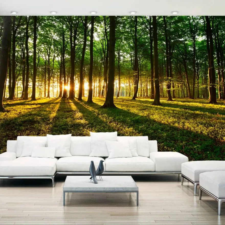 Maisematapetti Artgeist Mystical Morning II, metsä, 500x280cm