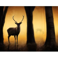 Metsätapetti Artgeist Deer in his natural habitat, eri kokoja
