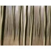 Metsätapetti Artgeist Puukuvionti, eri kokoja
