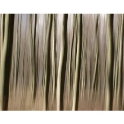 Metsätapetti Artgeist Puukuvionti, eri kokoja