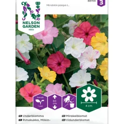Mökinihmekukka Nelson Garden, väriseos, siemenet