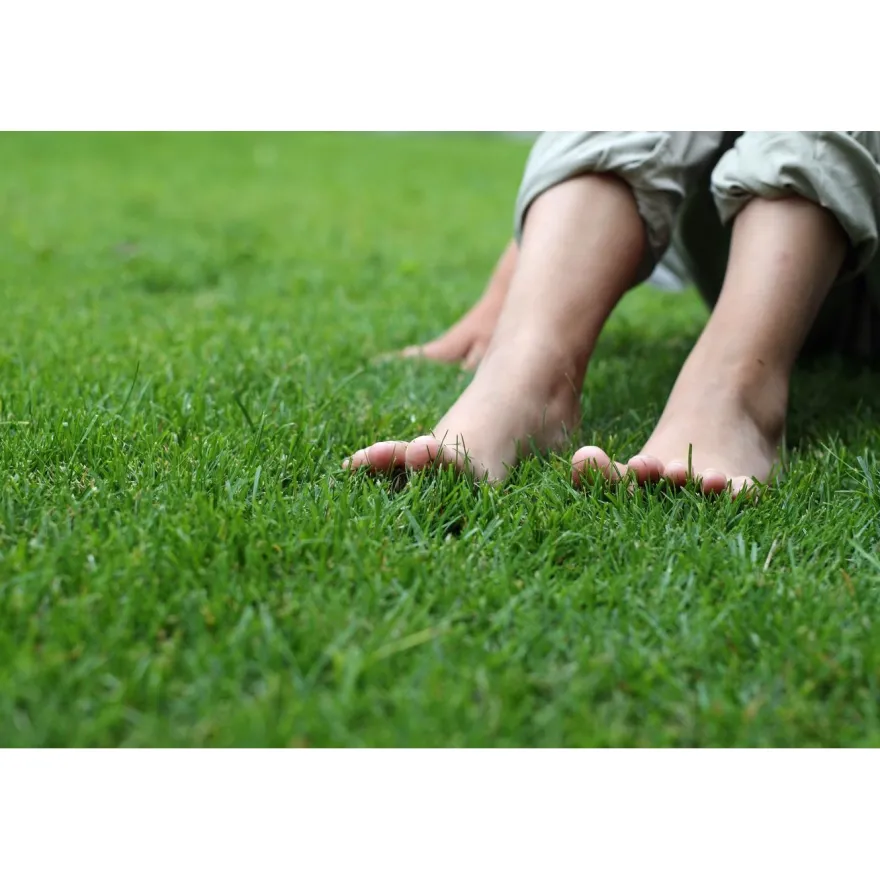 Männynkuorikate GreenCare, 70 säkkiä x 50 litraa/lava, 3500 litraa