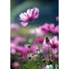 Paneelitapetti PhotoWallXL Purple Beauty 158005 1860x2790 mm