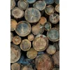 Paneelitapetti PhotowallXL Wood Logs 158206, 1860x2790mm, ruskea