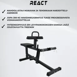 Pohjelaite React 100
