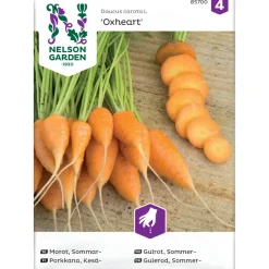 Porkkana Nelson Garden Oxheart, siemenet