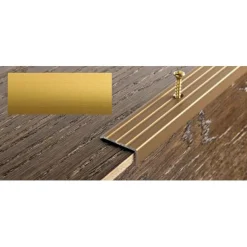 Porraskulmalista Progress Profiles Prowalk, 2,7m, 25mm, 20mm, ruuvikiinnitettävä, anodisoitu kulta