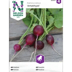 Retiisi Nelson Garden Amethyst, siemenet