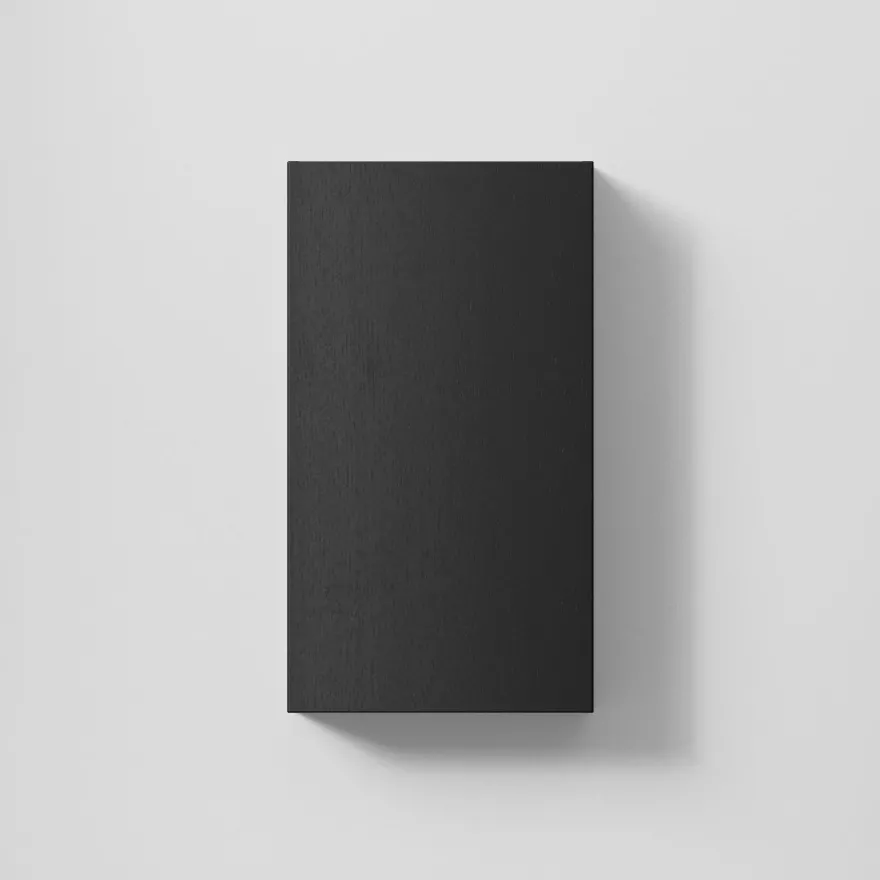 Seinäkaappi INR Solid 40/15, 400x142mm, 2 hyllyä, eri vaihtoehtoja