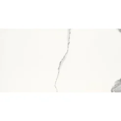 Seinälaatta Carrara Maxi, 30x60cm, sileä, kiiltävä