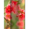 Sermi Artgeist Azalea reflected in the water, 135x172cm