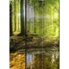Sermi Artgeist Forest Lake, 135x172cm