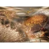 Sisustustarra Artgeist Dandelions' World, eri kokoja