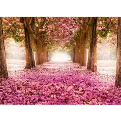 Sisustustarra Artgeist Pink grove, eri kokoja