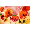Sisustustarra Artgeist Velvet poppies, 280x490cm