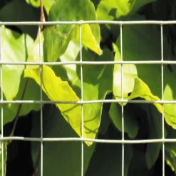 Suojaverkko Hortus, 12.5x12.5-1.05mm, 1x5m, galvanoitu