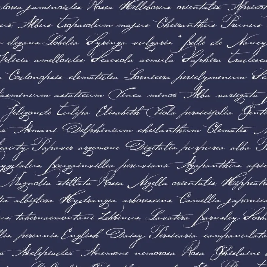 Tapetti Handwriting Latin Flower Names 128040, non-woven, teksti, tummansininen