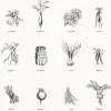 Tapetti Vegetables 127614, non-woven, kasvi, valkoinen/musta