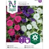Tarha-/mätäspetunia Nelson Garden Fantasy Mix, siemenet