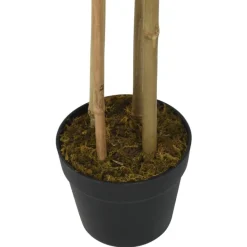 Tekokasvi bambupuu, 760 lehteä, 120 cm