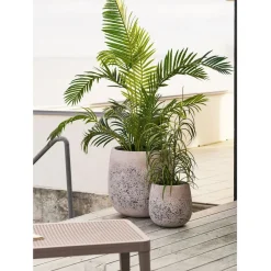 Tekokasvi House Nordic, 68cm, vihreä