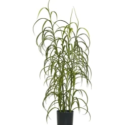Tekokasvi House Nordic, 68cm, vihreä