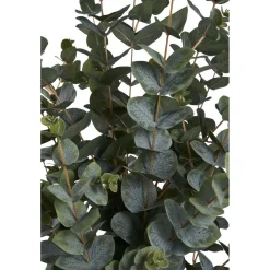 Tekokasvi House Nordic Eukalyptuspuu, 120cm, vihreä