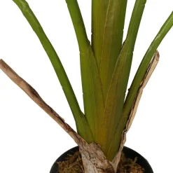 Tekokasvi Lykke Strelitzia Tree, 90cm