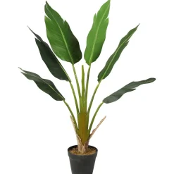 Tekokasvi Lykke Strelitzia Tree, 90cm
