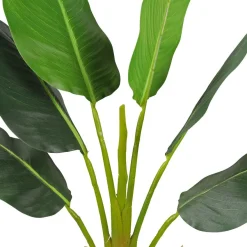 Tekokasvi Lykke Strelitzia Tree, 90cm