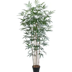 Tekopuu Home4You BAMBOO, K150 cm, 5 puunrunkoa, musta ruukku, vihreä