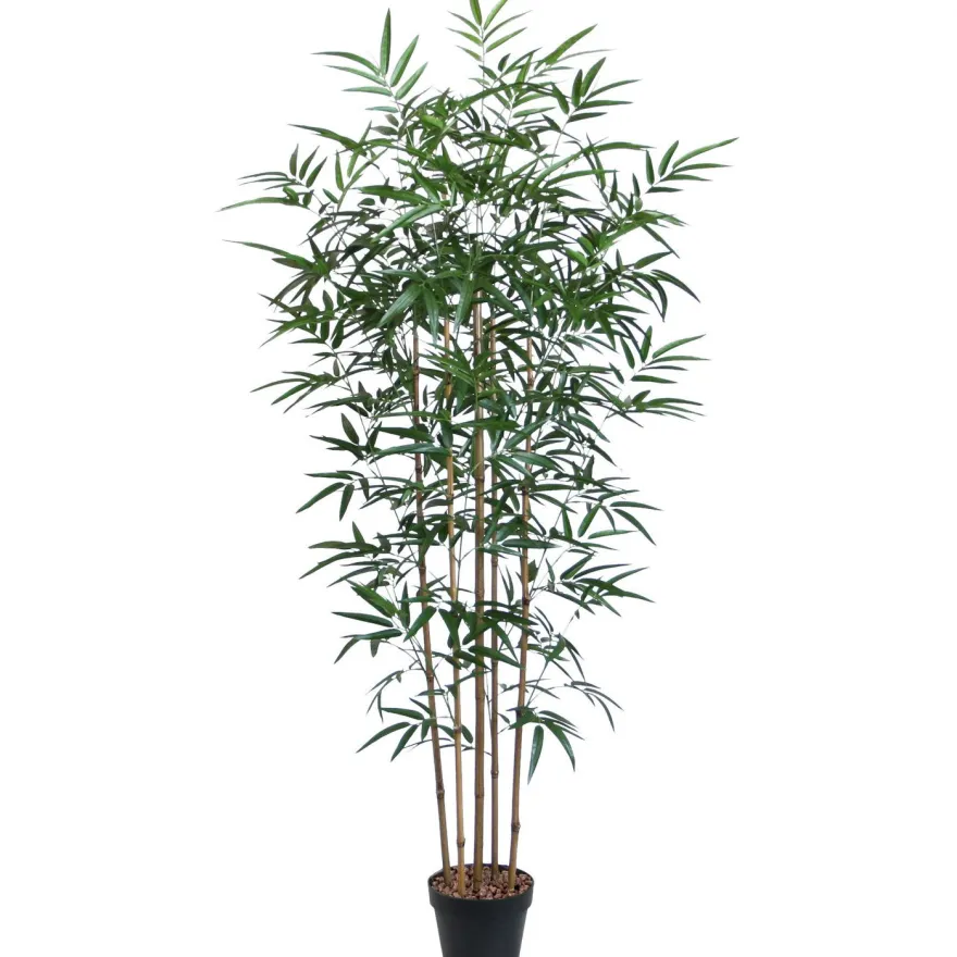 Tekopuu Home4You BAMBOO, K150 cm, 5 puunrunkoa, musta ruukku, vihreä
