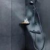 Termostaattihana Hansgrohe Ecostat Fine Nordic, kromi