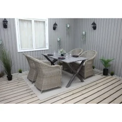 Tuoli Baltic Garden Daisy, 2kpl, polyrottinki