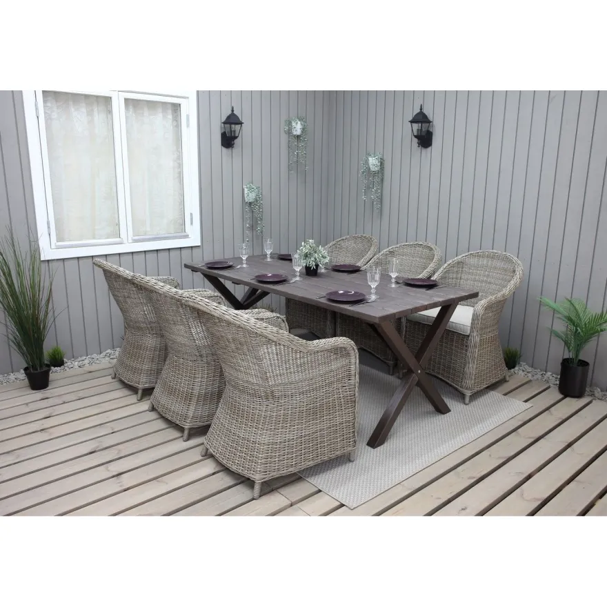 Tuoli Baltic Garden Daisy, 2kpl, polyrottinki