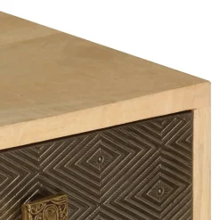 TV-kaappi 120x30x40 cm täysi mangopuu (47340)