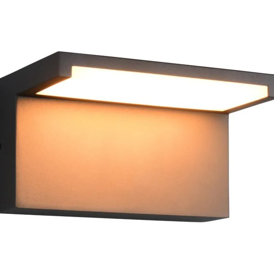 Ulkoseinävalaisin Trio Ravi LED antrasiitti