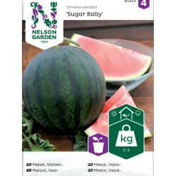Vesimeloni Nelson Garden Sugar Baby, siemenet