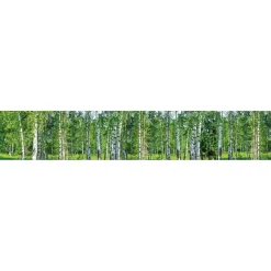 Välitilatarra Dimex Birch Grow, 180-350x60cm