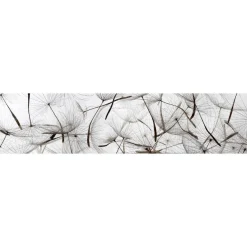 Välitilatarra Dimex Dandelion Seeds, 180-350x60cm