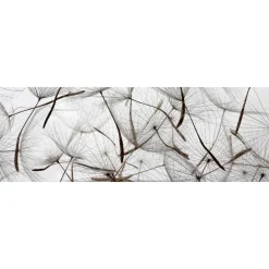Välitilatarra Dimex Dandelion Seeds, 180-350x60cm