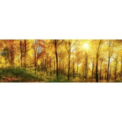 Välitilatarra Dimex Sunny Forest, 180-350x60cm