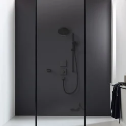 Yläsuihku Hansgrohe Pulsify S 260 2jet Ecosmart, seinäliitin, piiloasennettava, mattamusta